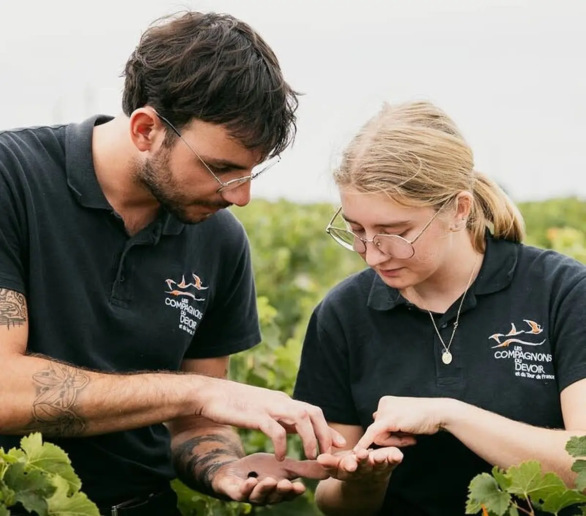 Salon des Vignerons Indépendants et formation vigneron à Strasbourg