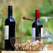 Salon des Vins Naturels en Limousin