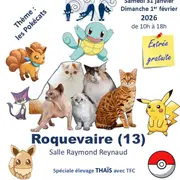 Salon du chat de race