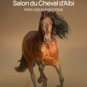 Salon du cheval d'Albi 2026