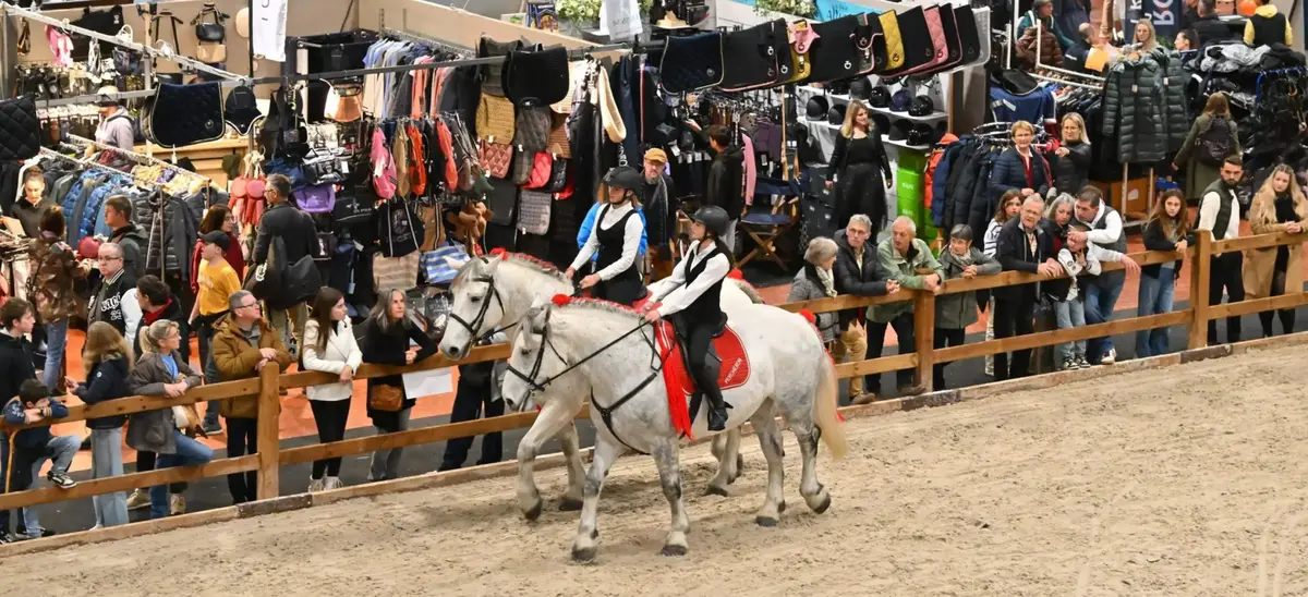 Salon du cheval d'Angers