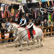 Salon du cheval d'Angers 2026