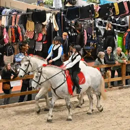 Salon du cheval d'Angers 2026
