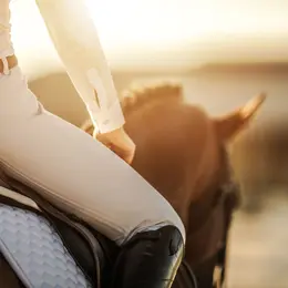 Le Salon du Cheval à Paris 2026
