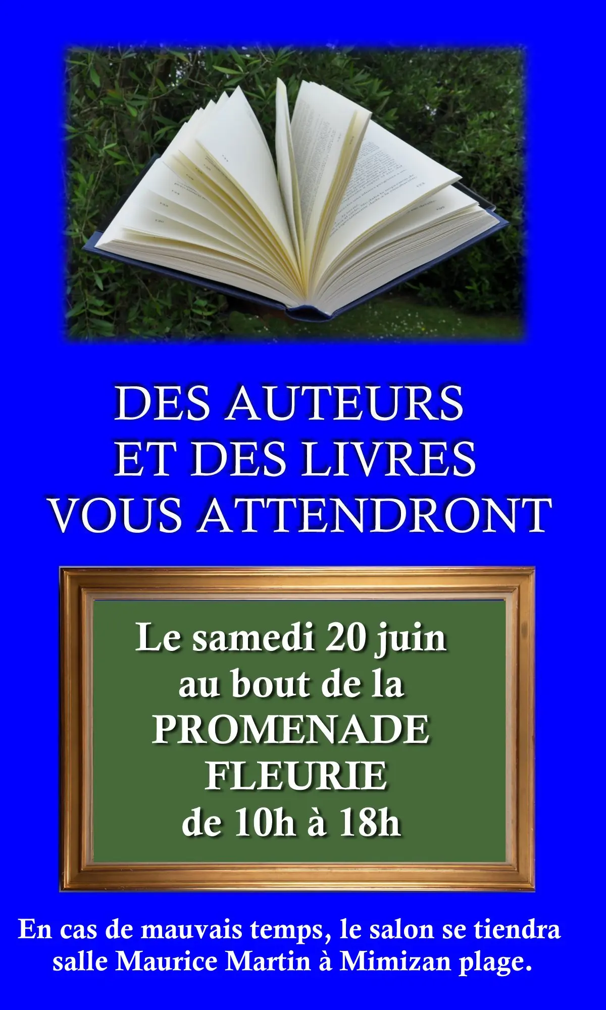 Salon du livre