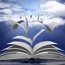 Salon Du Livre