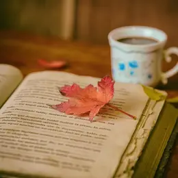 Salon du livre-Les mots en fête