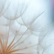 Salon du Mieux-Être