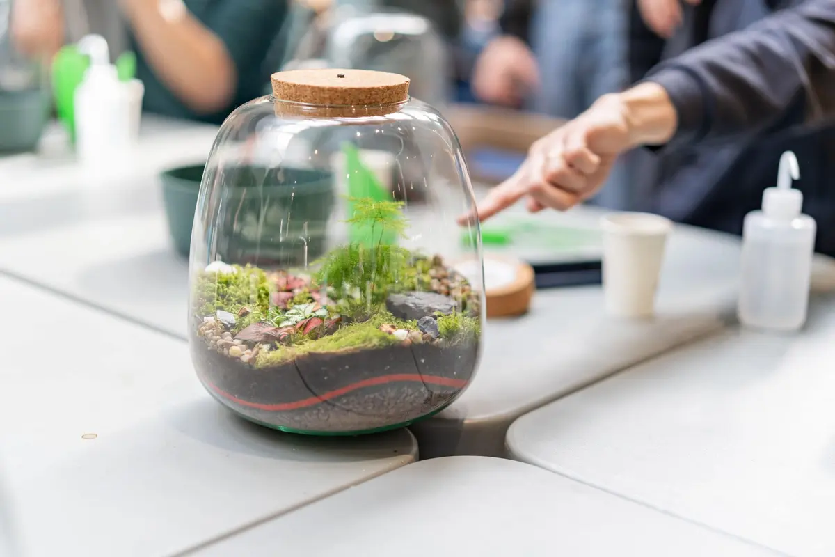 Des terrariums pour les plantes
