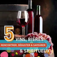 Salon FestiVitas 2026 DR