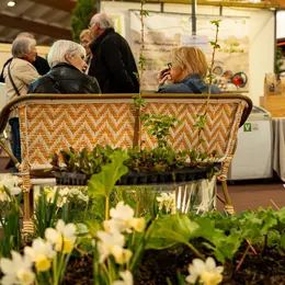 Salon Green Expo