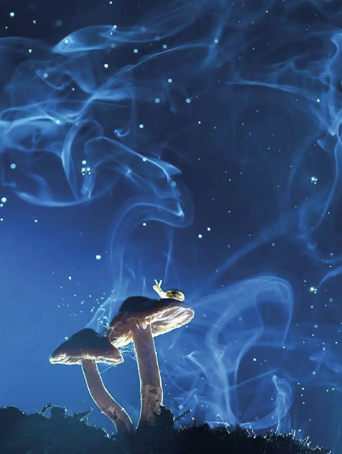 Une photo de Jérôme Tuaillon