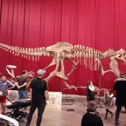 Salon international des minéraux de Martigues