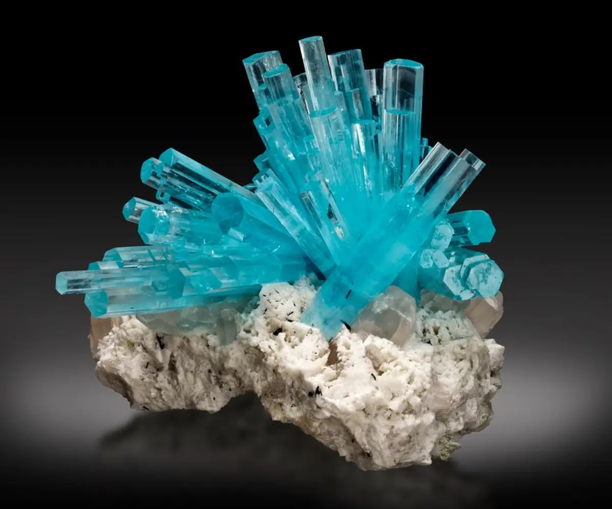 Salon minéraux, fossiles et bien être