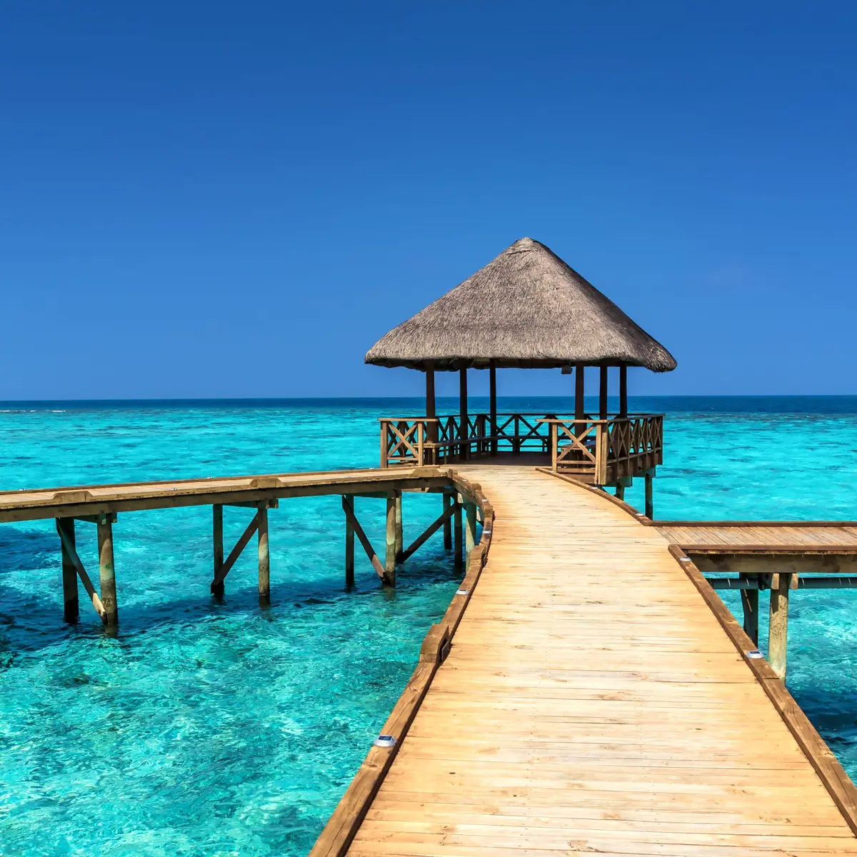 Salon du Tourisme de Paris 2026