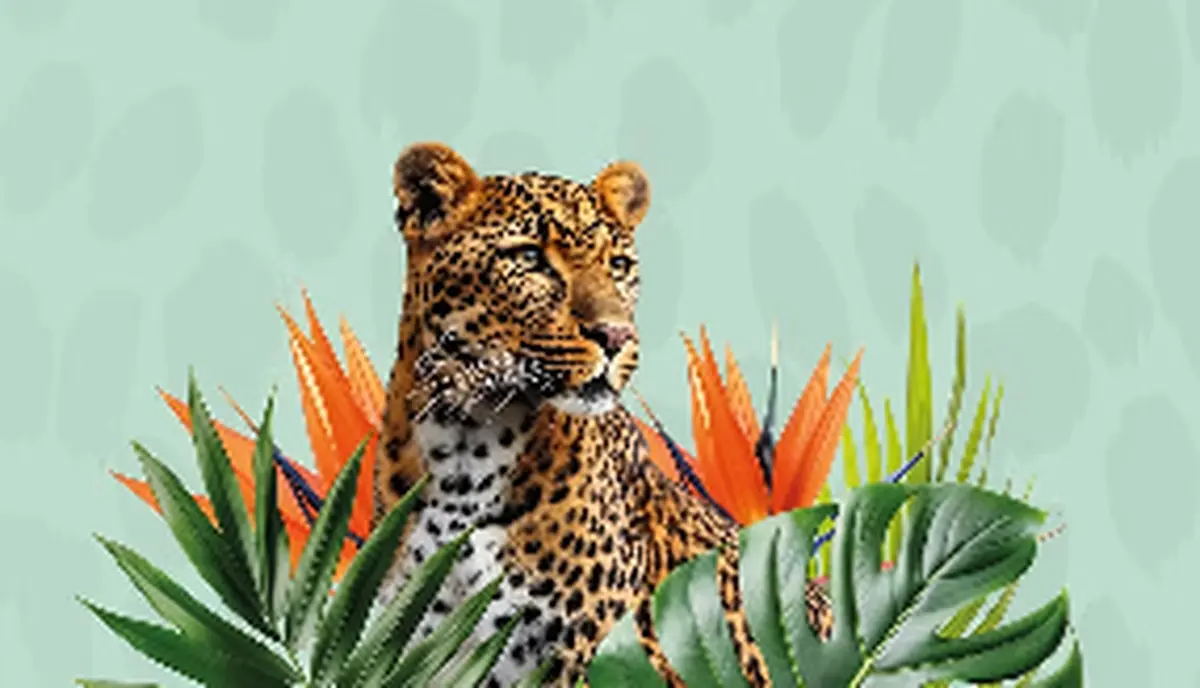 Salon Passion voyage (Espace des trois provinces)