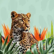 Salon Passion voyage (Espace des trois provinces)