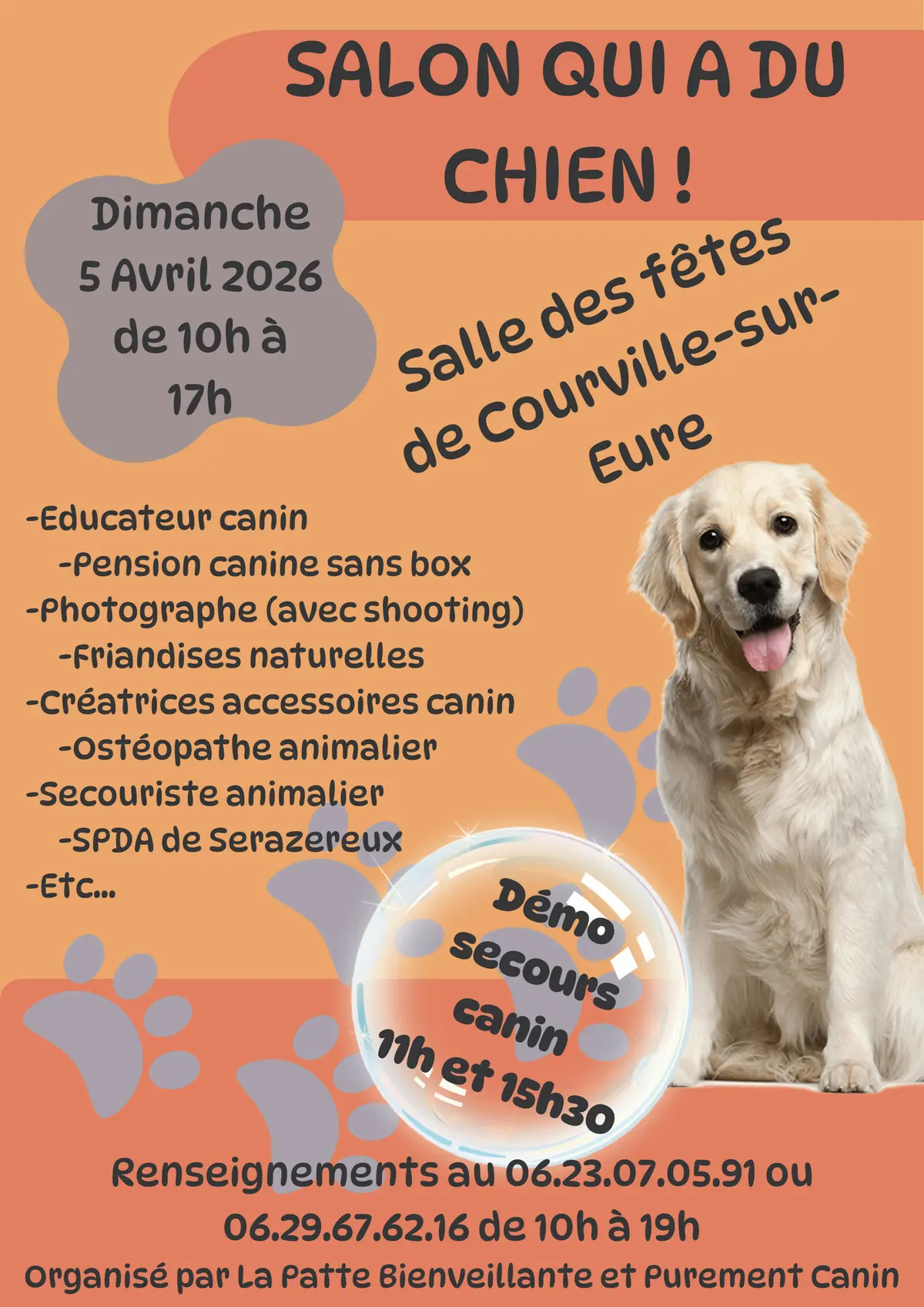 Salon qui a du chien
