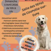 Salon qui a du chien