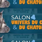 On fait quoi ce week-end à Caen ? 7 idées du 10 au 12 avril 2026