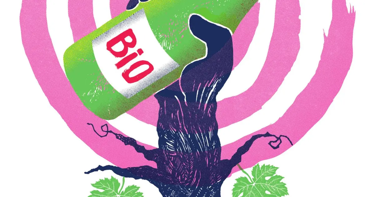 Salon Vinaviva : les vins d'ici
