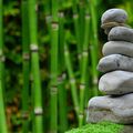 Salon ZEN Paris 2026