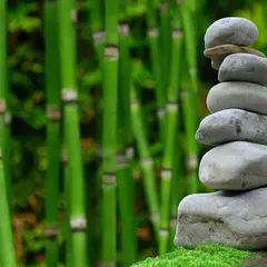 Salon ZEN Paris 2026