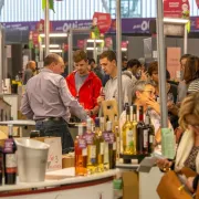 Salons Chocolat & Gourmandises et Vins & Terroirs d\'Automne à Toulouse 2024