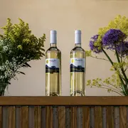 SAMEDI 21 MARS – Masterclass blancs et Apéritif