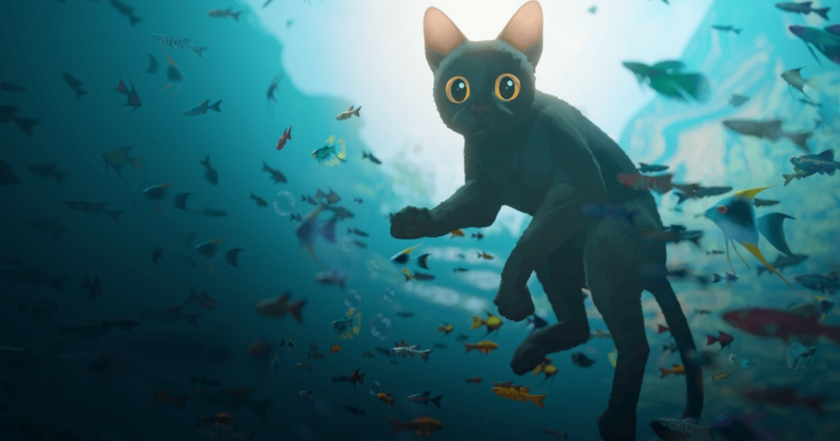 Samedi cinéma : "Flow"