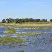 Samedi comptage à Terres d'Oiseaux
