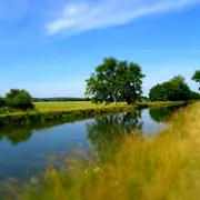 Samedi et vous ! Canal de Berry