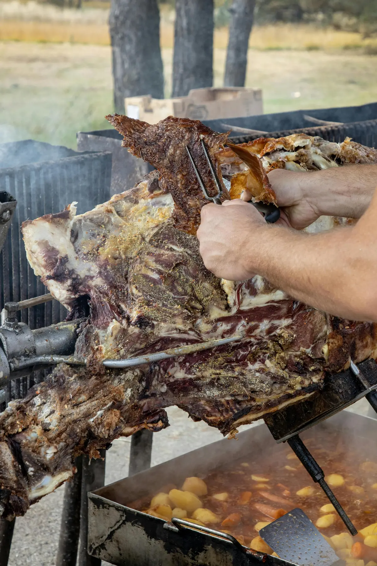 Sanglier à la Broche