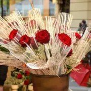 Sant Jordi