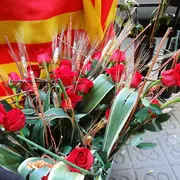 Sant Jordi