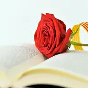 Sant Jordi A Port-Vendres