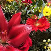 Sant Jordi - L’itinéraire Du Livre