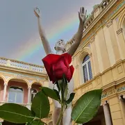 Sant Jordi - La Rose Dans Tous Ses Jardins