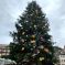 Le sapin de Noël de Strasbourg, symbole du marché de Noël DR