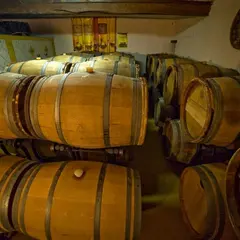 Sauternes au fil de l'eau