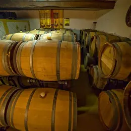 Sauternes au fil de l'eau