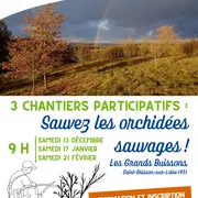 Sauvez les orchidées sauvages !