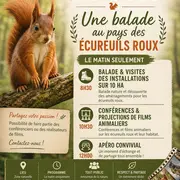 Sauvons les écureuils roux ... Découvrez les actions de SOS ECUREUIL PROVENCE