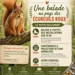 Sauvons les écureuils roux ... Découvrez les actions de SOS ECUREUIL PROVENCE