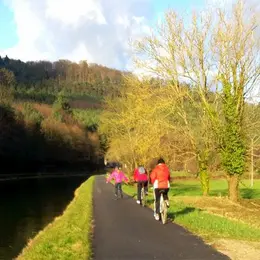 Les meilleurs spots pour aller courir en Alsace