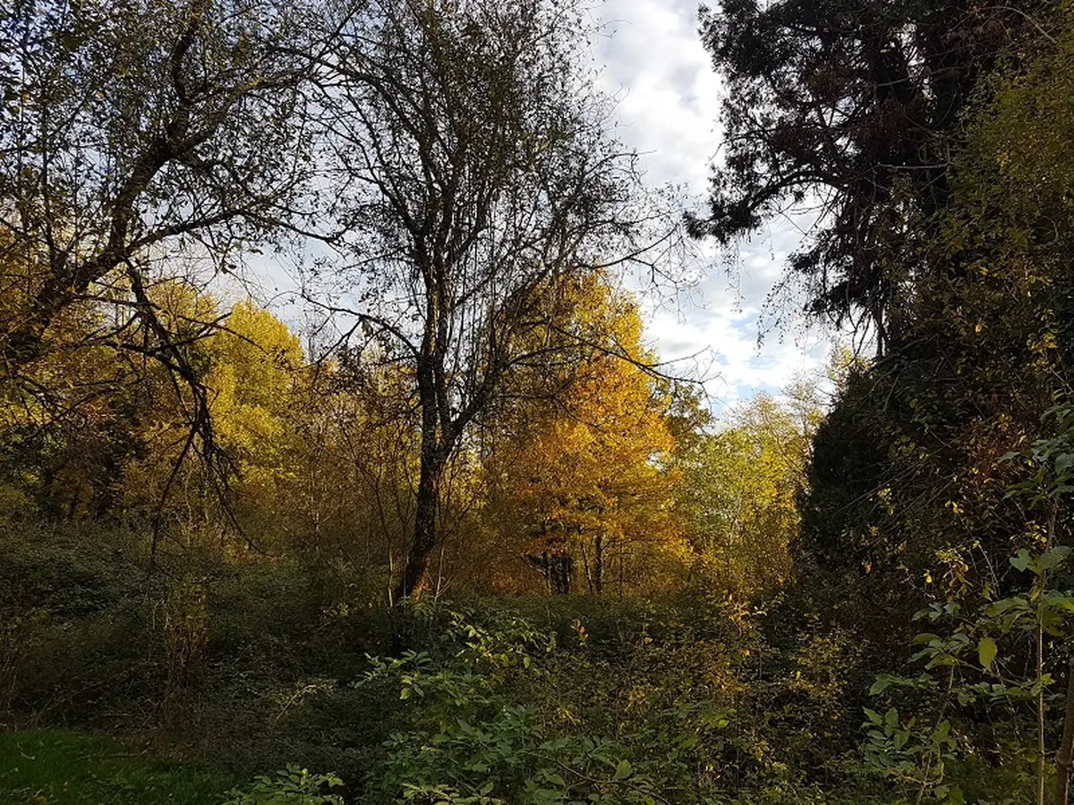 Scène ouverte au jardin d'hélys - Châteaux en fête