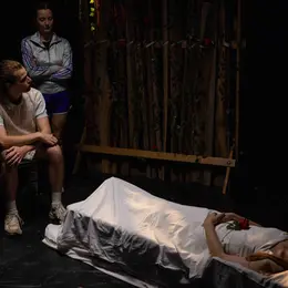 Scènes d'été spectacle : La Fée du bois dormant