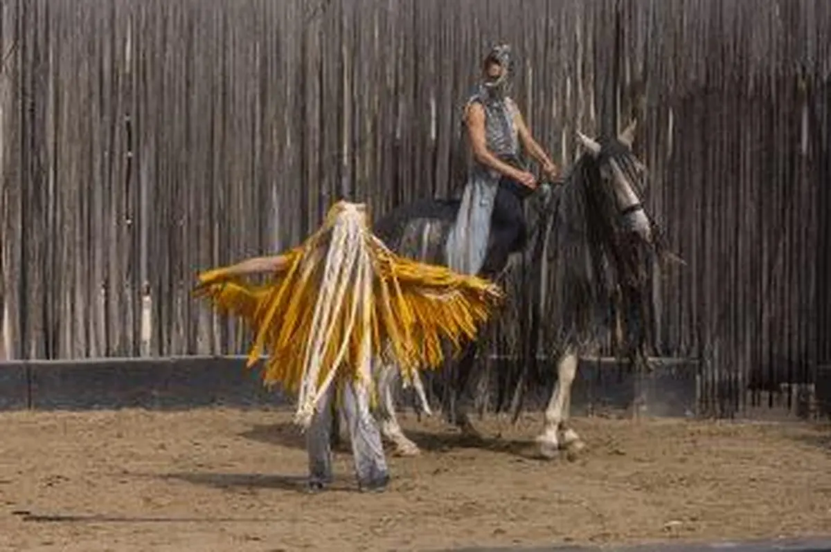 Scènes en Selle - Édition 2026 à Lunéville