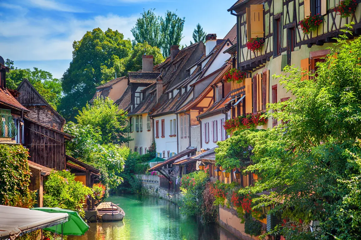 Colmar : où faut-il planter davantage ? La Ville consulte les habitants