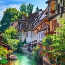Colmar : où faut-il planter davantage ? La Ville consulte les habitants